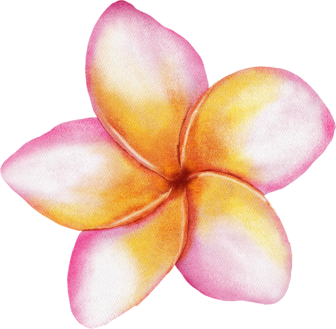 Frangipani Flower Cut-out