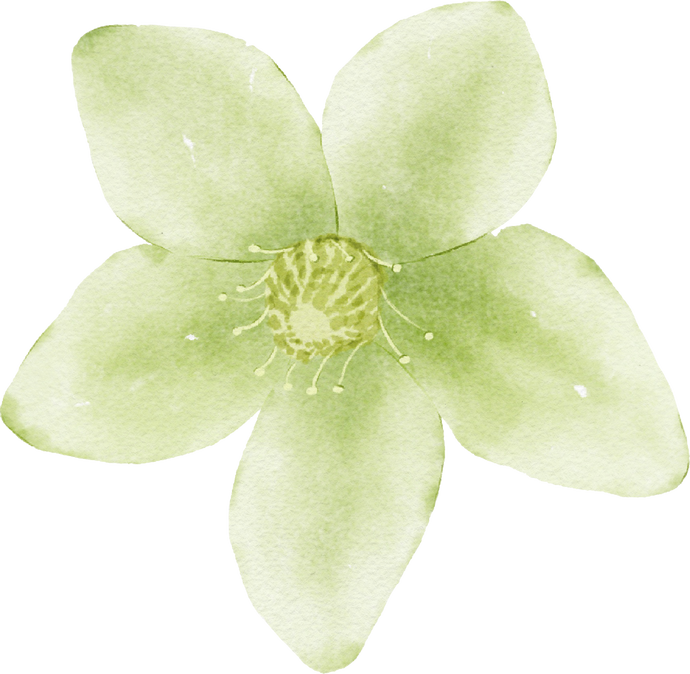 Green Watercolor Flower